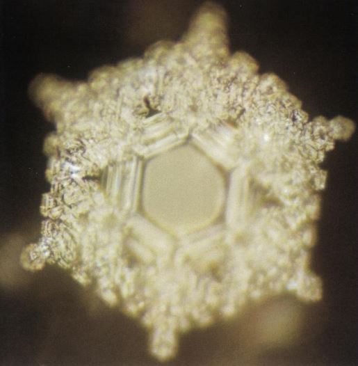 Crystal Love and gratitude (Courtesy Masaru Emoto)