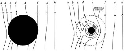 Fältlinjer inom membranparadigmet (Courtesy R. Price & K. Thorne)