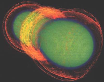 Kolliderande neutronstjärnor (Courtesy Malcomb Tobias, Washington University, S&T)