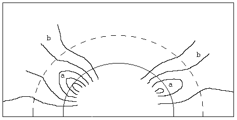 Figur Koronahål