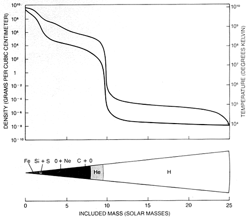 Densitet och temperatur som funktion av  radie (Courtesy Bethe and Brown)