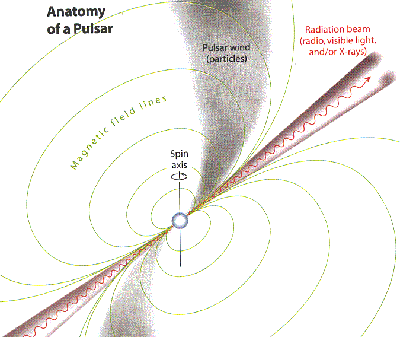 Anatomin hos en pulsar (Courtesy Joshua N. Winn)